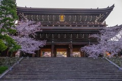 京都の春（33）
