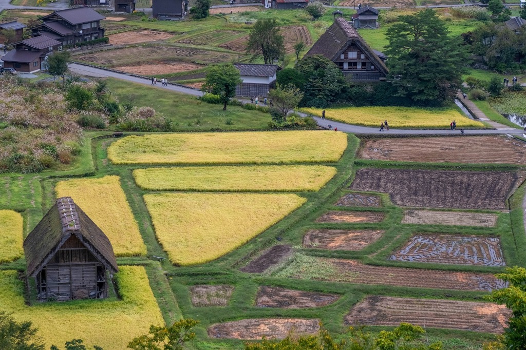 秋の白川郷（２）