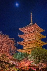 京都の夜景（７）