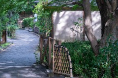 修善寺（３）
