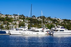 シドニー（27）