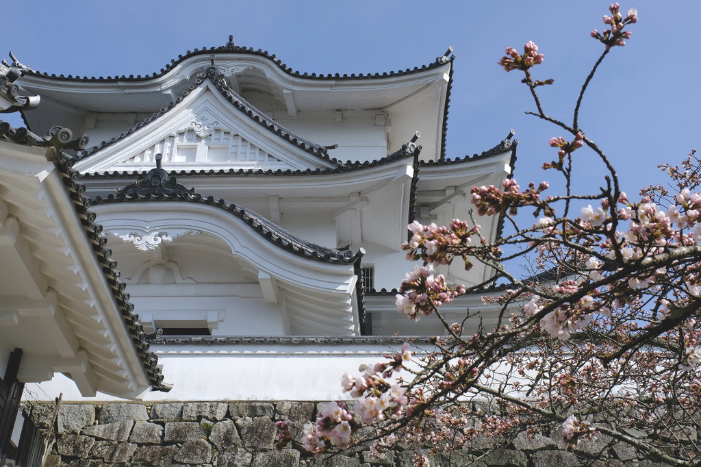 伊賀上野城５