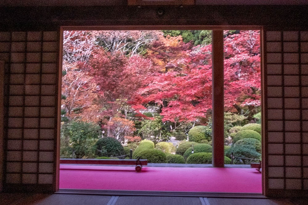 秋の湖東三山（13）