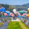 能登の鯉のぼり（４）