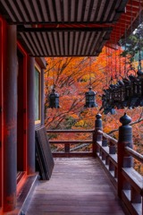 12月の奈良（65）