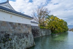 春の駿府城公園（１）