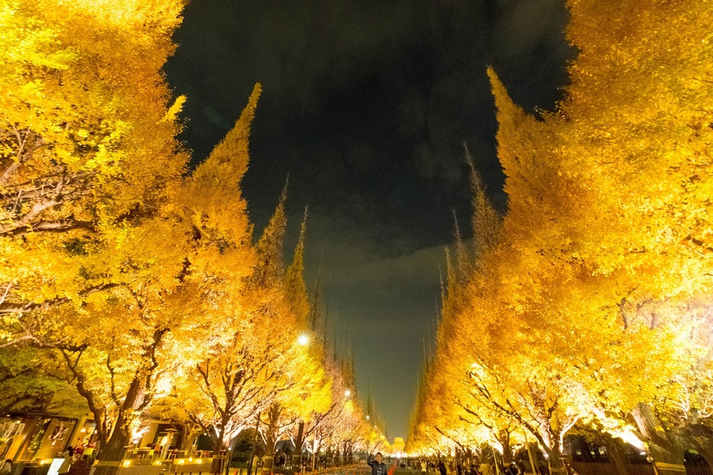 黄金色のトンネル（３）