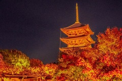 京都の夜景（８）
