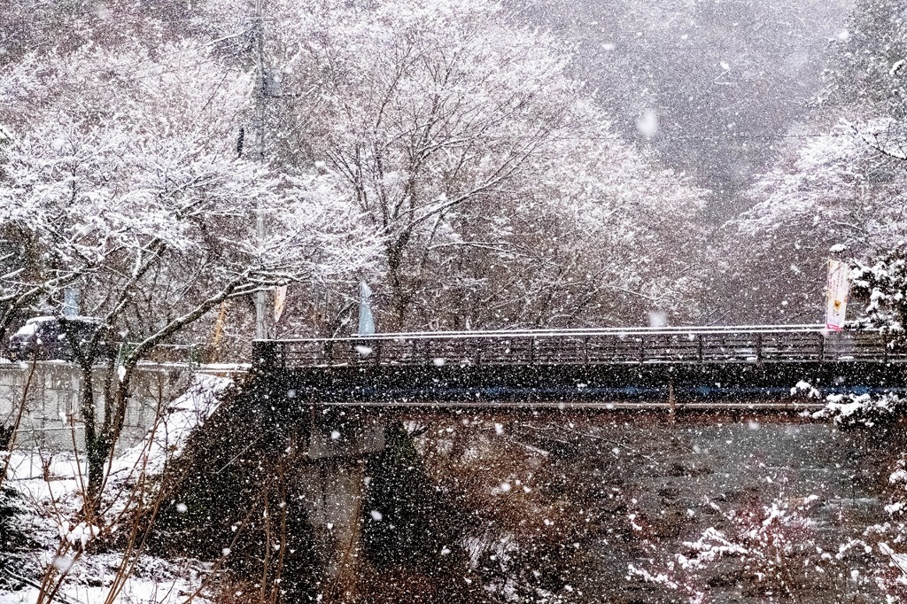 なごり雪（２）