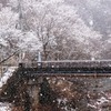 なごり雪（２）