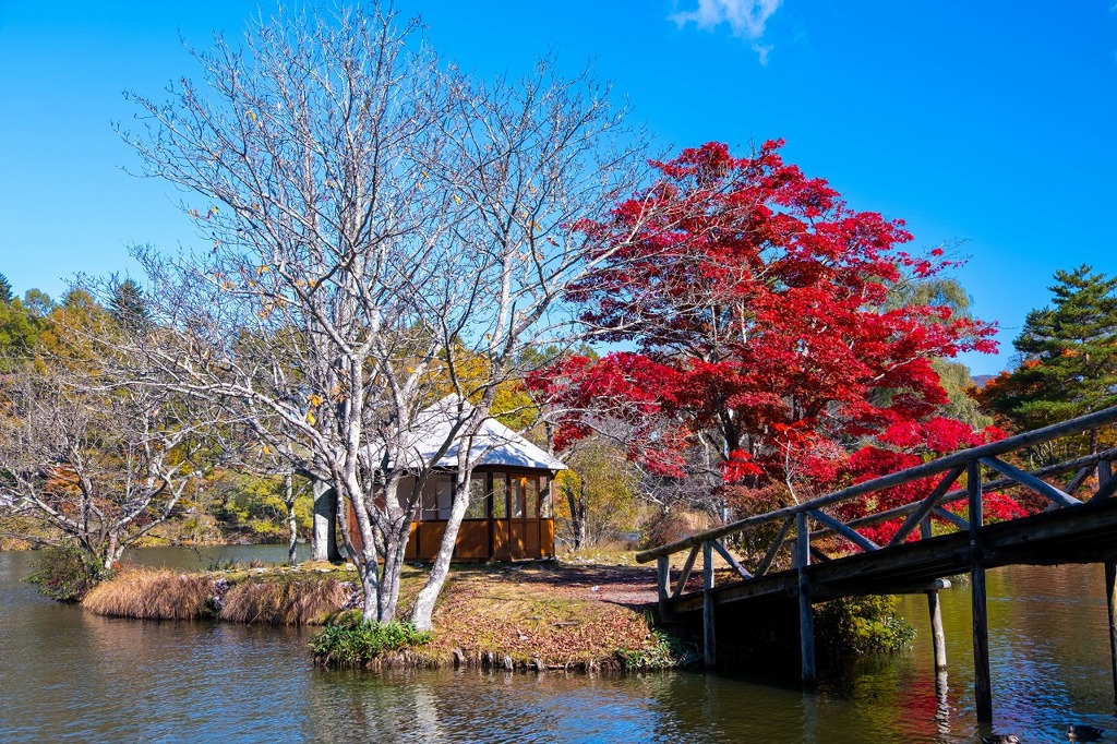 軽井沢の秋（14）