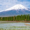 ゴールデンウィークの花の都（１）