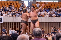 大相撲静岡場所（21）