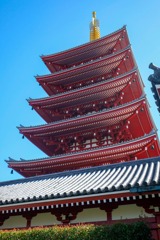 2020年東京の春（26）
