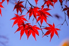 寸又峡（６）