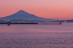 焼津港の夜明け（24）