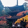 湖東の秋（９）
