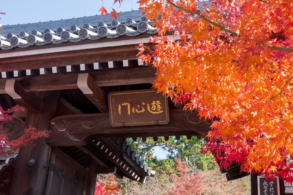 秋の京都（６）