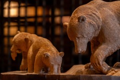 阿寒湖の動物たち（２）