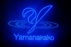 冬の夜のきらめく空 in Yamanakako（34）