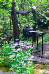 新緑の箱根（１）