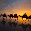 ブルームの夕焼け（５）