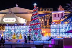 2020年クリスマス（11）