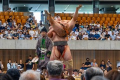 大相撲静岡場所（20）