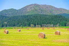 10月の北海道（３）