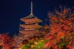 京都の夜景（14）