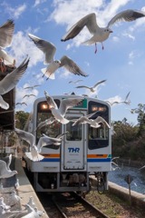 佐久米駅（５）