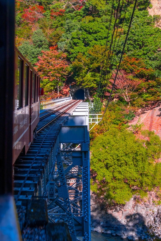 大井川鐡道の旅（10）