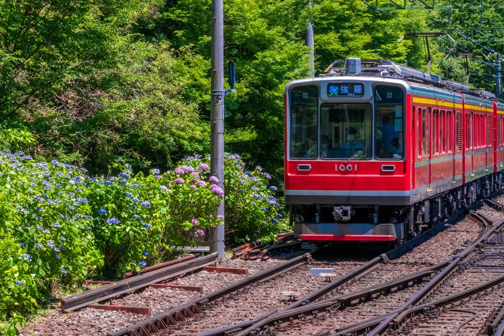 あじさい電車（３）