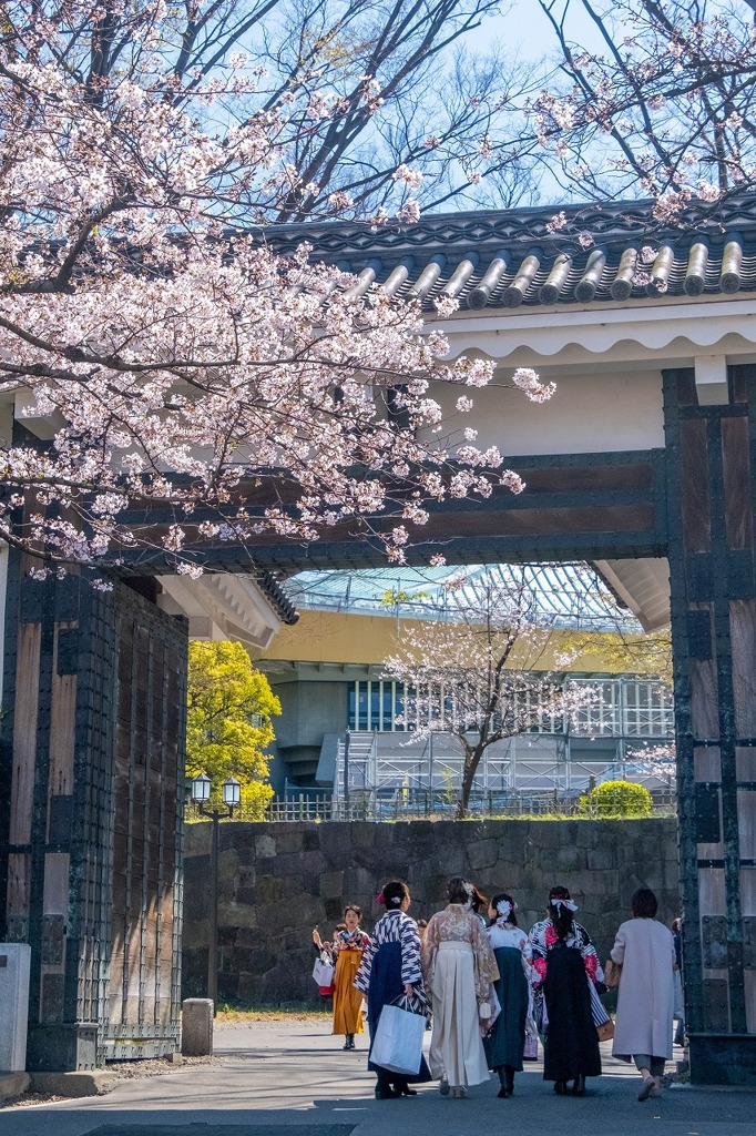 2020年東京の春（11）