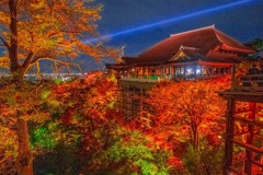 京都の夜景（10）