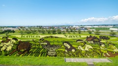 田舎館村田んぼアート（３）