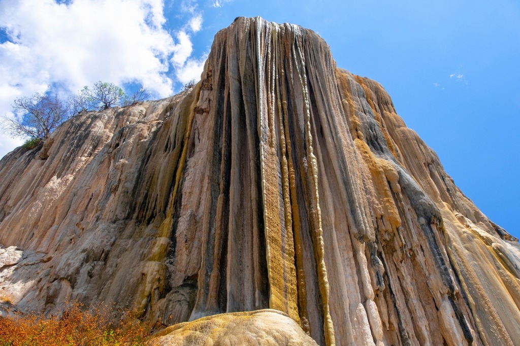 イエルベ・エルアグア（９）