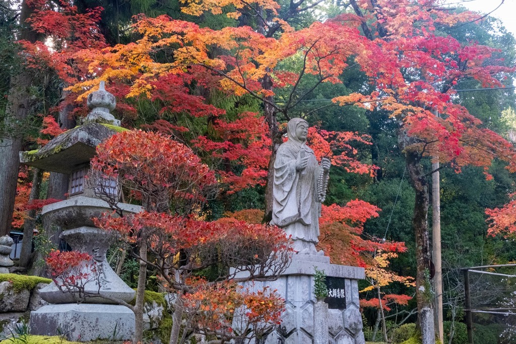 湖東の秋（８）