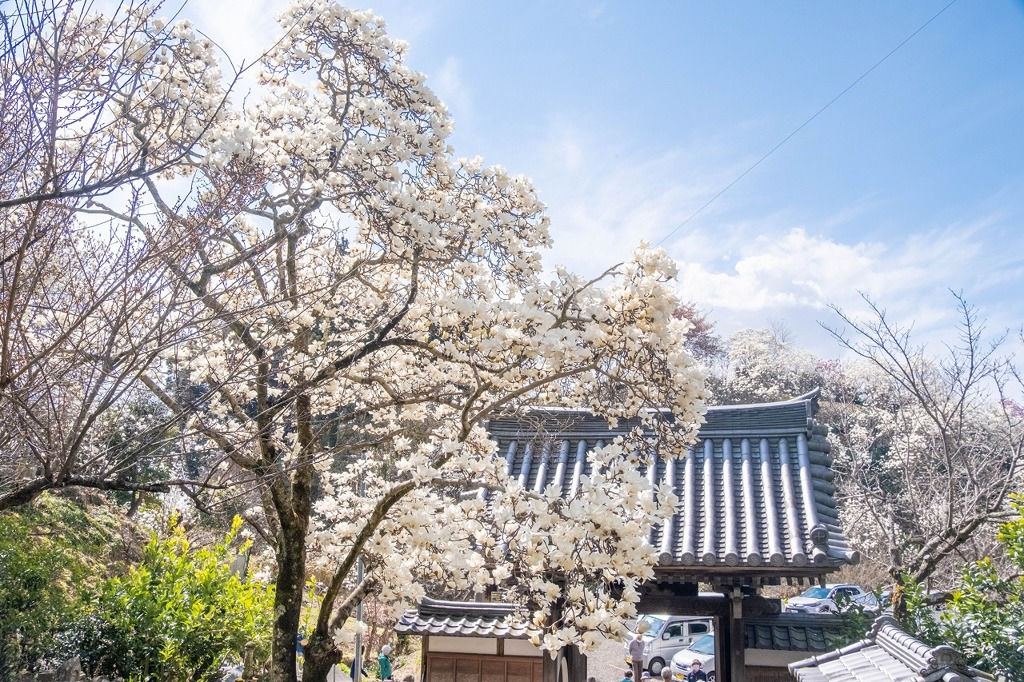 十輪寺（１）