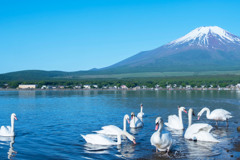 初夏の山中湖（１）