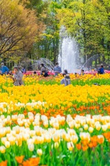 第70回となみチューリップフェア（６）