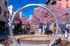 2025春の訪れ（４）