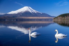 正月の山中湖