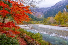 秋の上高地（３）