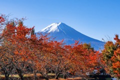秋の河口湖（２）