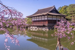 京都の春（９）