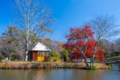 軽井沢の秋（８）