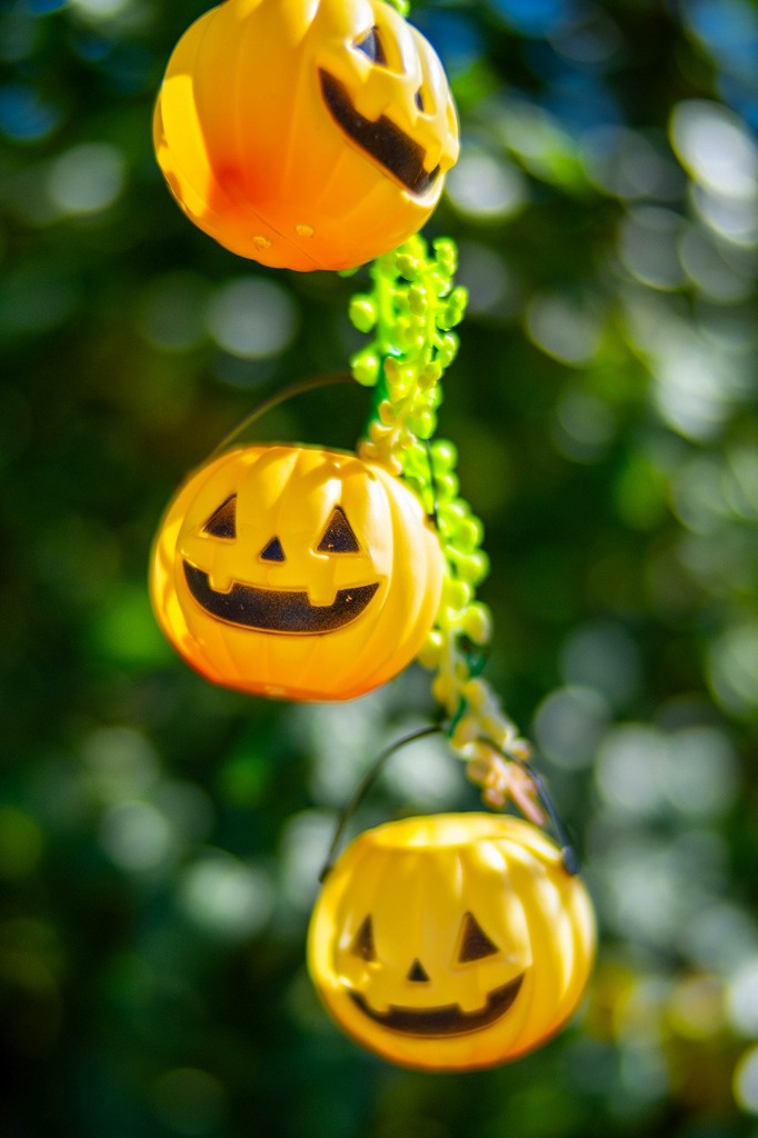 ハッピー・ハロウィン（６）