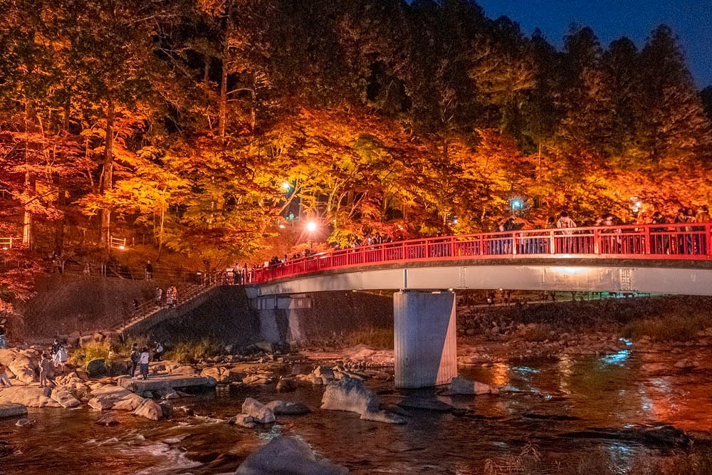 夜の香嵐渓（13）