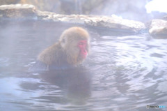 いい湯だな！